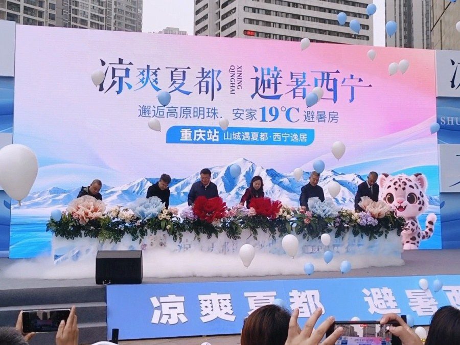 花开启动 实拍图1