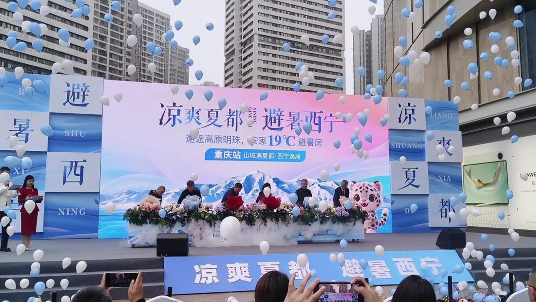 花开启动 实拍图2